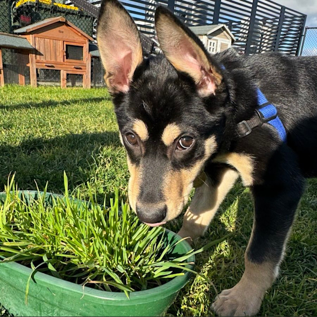 Photo of Bilbo Waggins