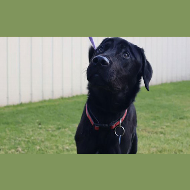 Photo of Long Boy Stewart