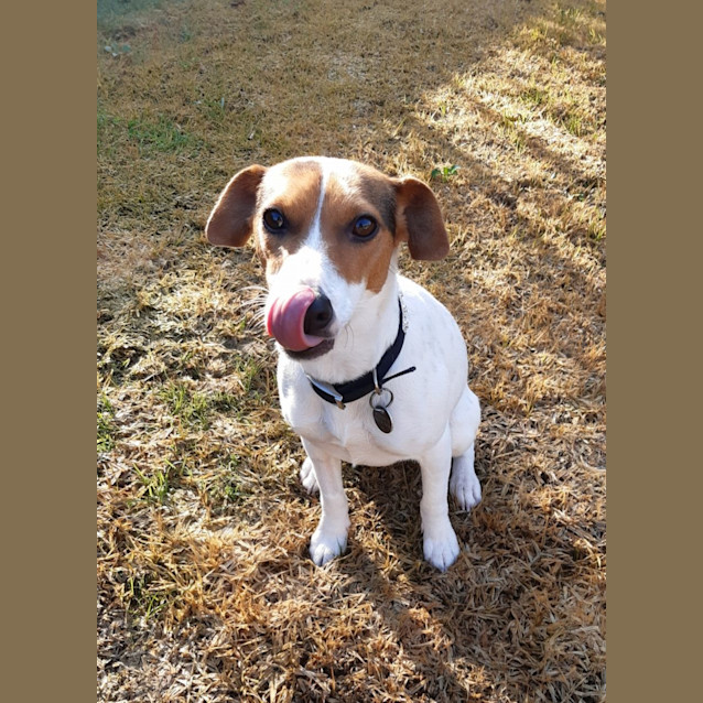 Photo of Bella Boo
