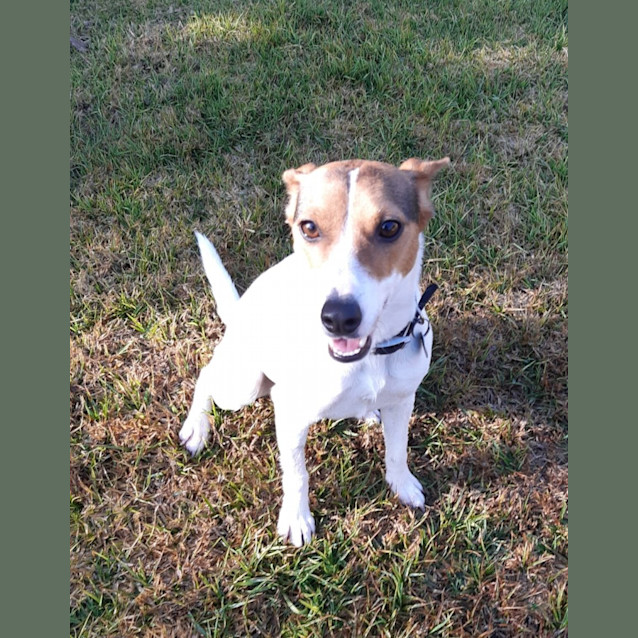 Photo of Bella Boo