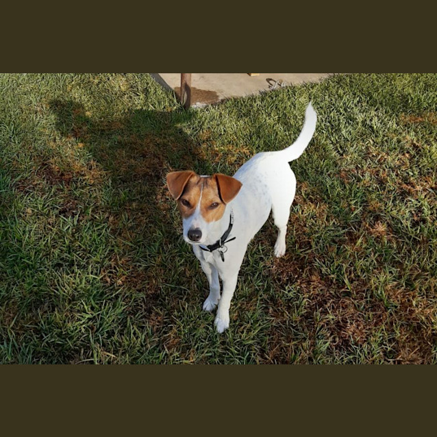 Photo of Bella Boo