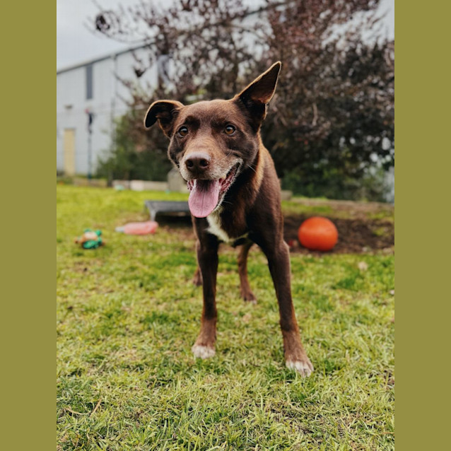 Photo of Rosco