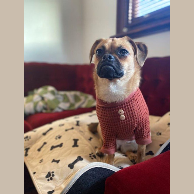 Photo of Gypsy Illingworth 