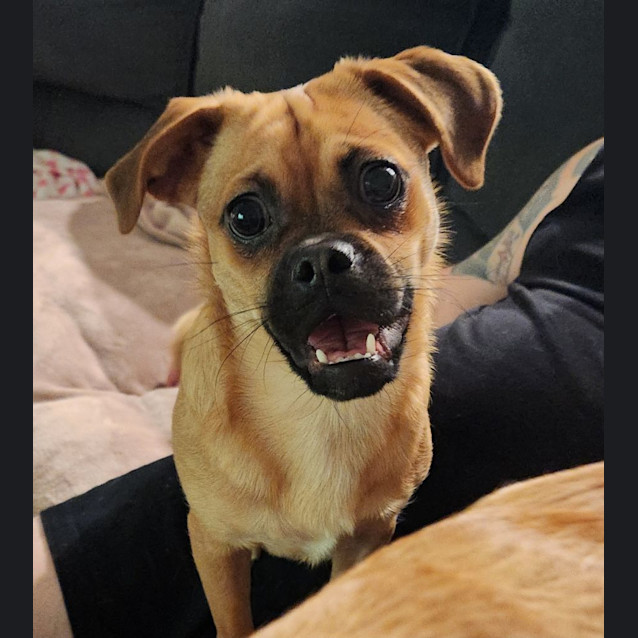 Photo of Gypsy Illingworth 