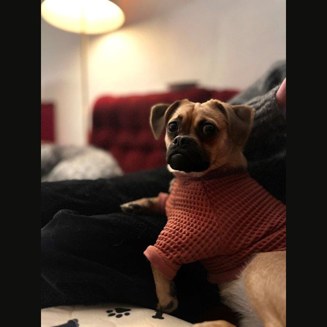 Photo of Gypsy Illingworth 