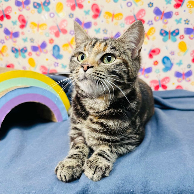 Photo of Pearl   Located In Preston