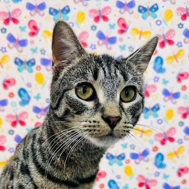 Photo of Zoom   Located In Reservoir