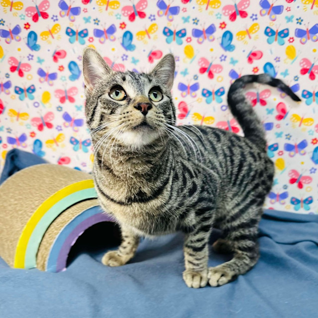 Photo of Zoom   Located In Reservoir