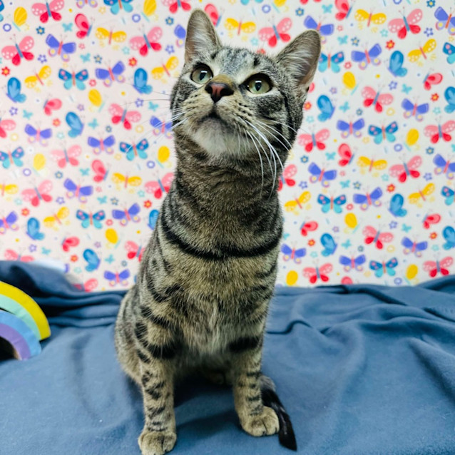 Photo of Zoom   Located In Reservoir