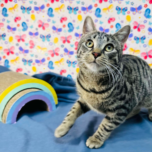 Photo of Zoom   Located In Reservoir