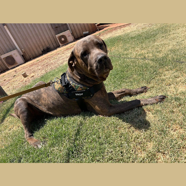 Photo of Major
