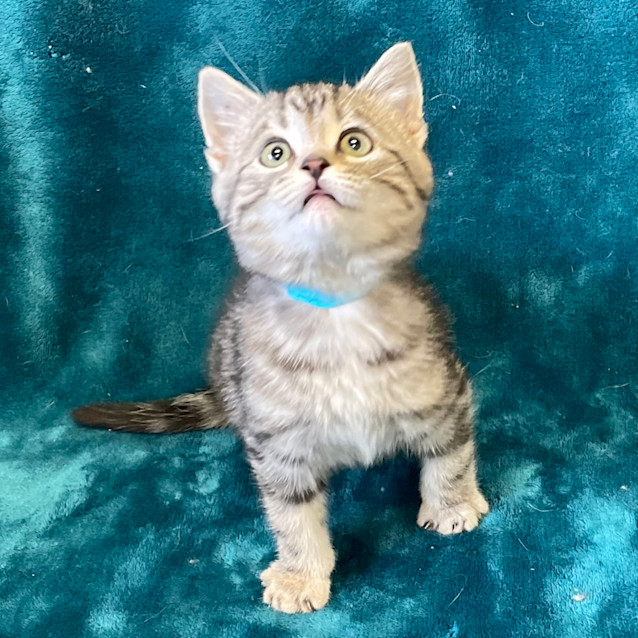 Photo of Finn