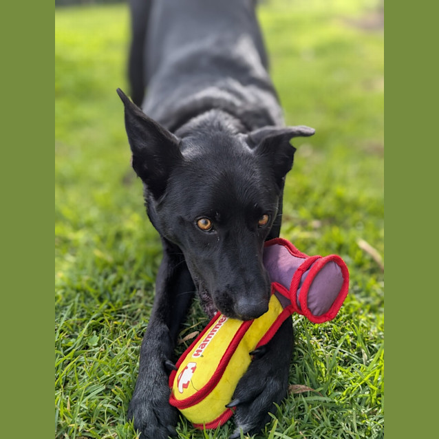 Photo of 🥔 Spud 5094 🥔