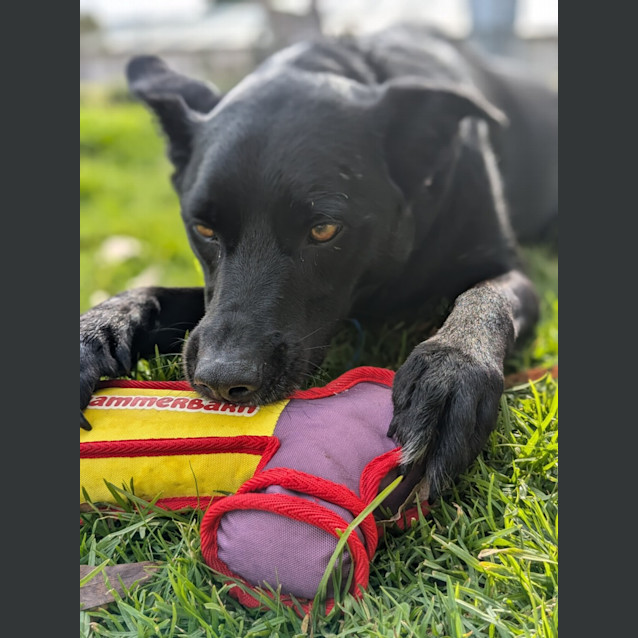 Photo of 🥔 Spud 5094 🥔