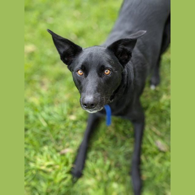 Photo of 🥔 Spud 5094 🥔