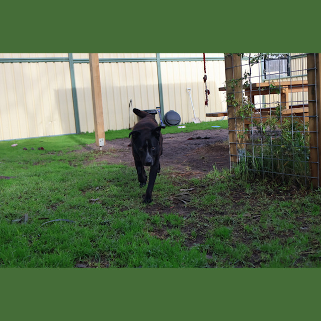 Photo of Monty