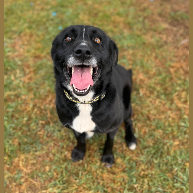 Photo of Cooper