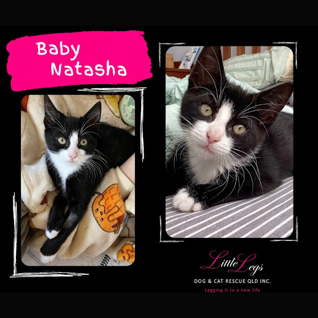 Photo of Baby Natasha