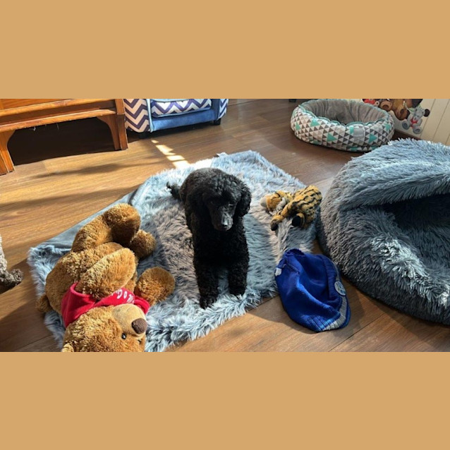 Photo of Luna Illingworth