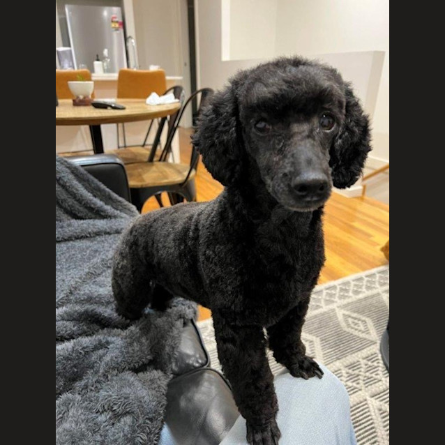 Photo of Luna Illingworth