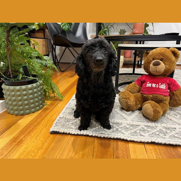 Photo of Luna Illingworth