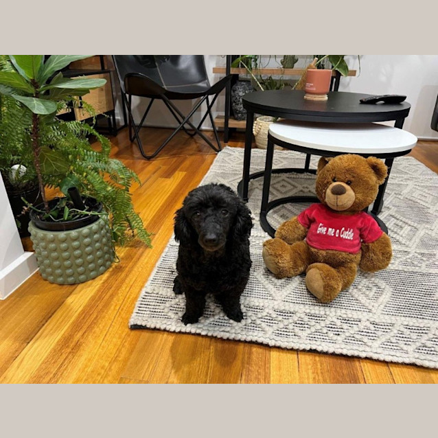 Photo of Luna Illingworth