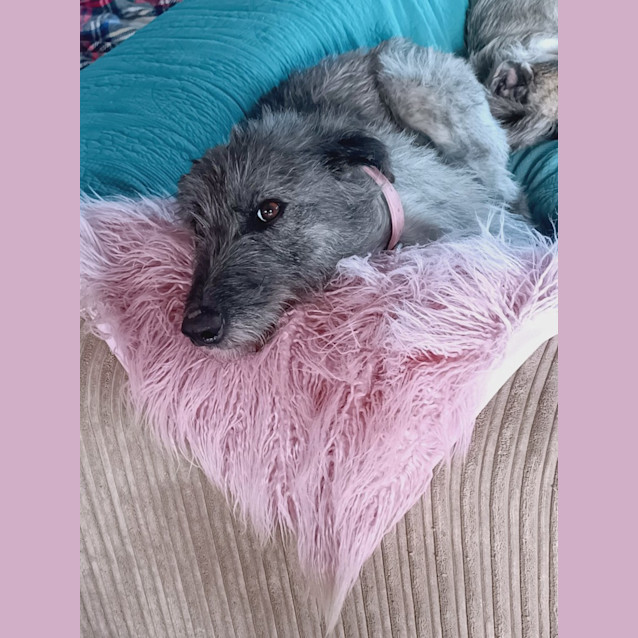 Photo of Torian