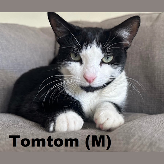 Photo of Tom Tom