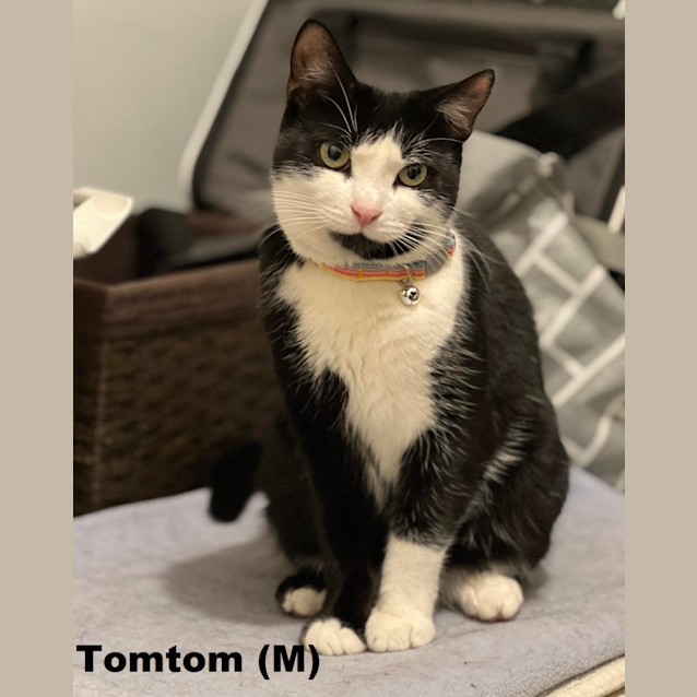 Photo of Tom Tom