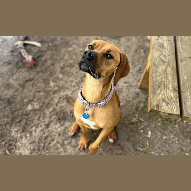 Photo of Kiki