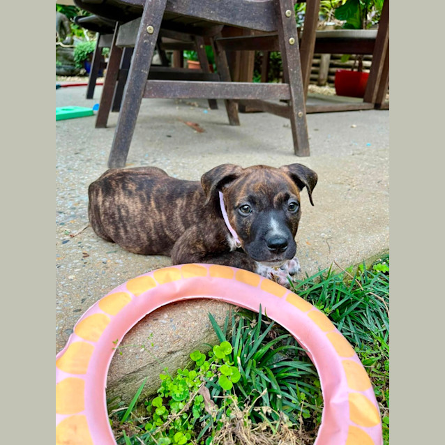 Photo of Winnie