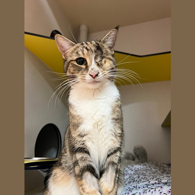Photo of Pearl