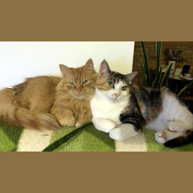 Photo of Mama Sta012102