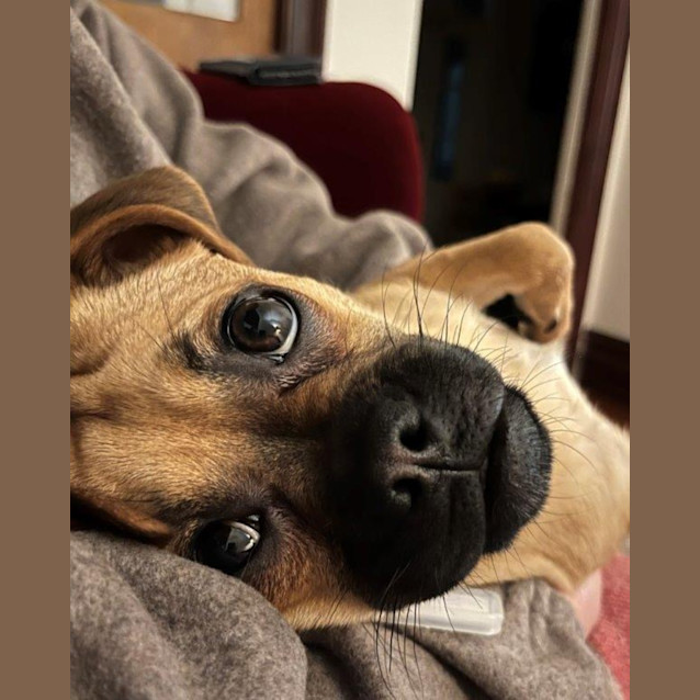 Photo of Gypsy Illingworth 