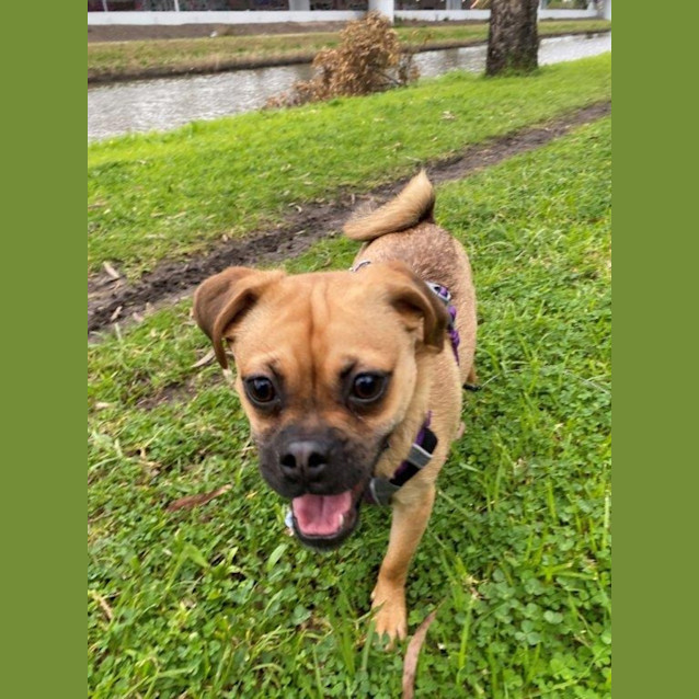 Photo of Gypsy Illingworth 