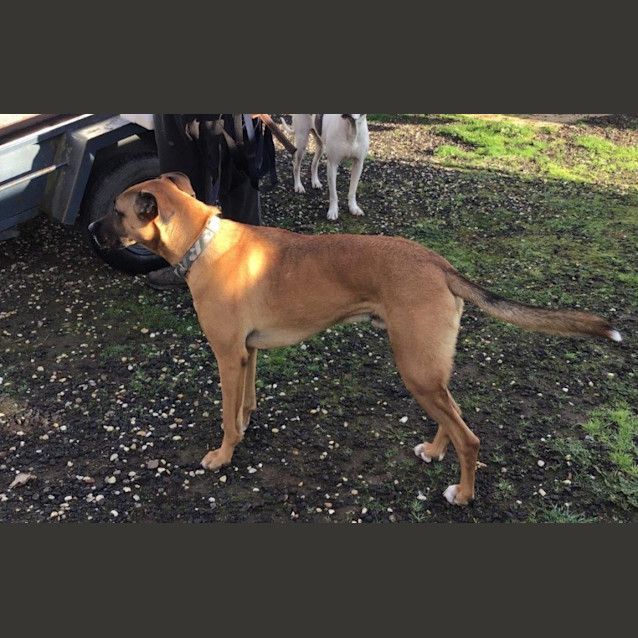 Photo of Billy Jablonski