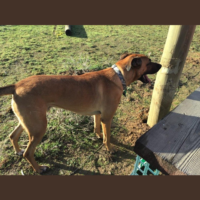 Photo of Billy Jablonski