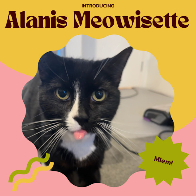 Photo of Alanis Meowisette 🎶🤘