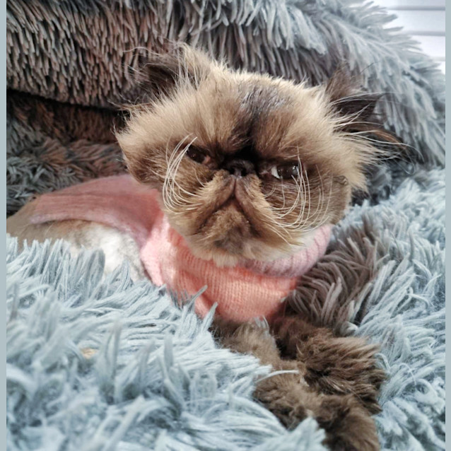 Photo of 🌼Delilah🌼