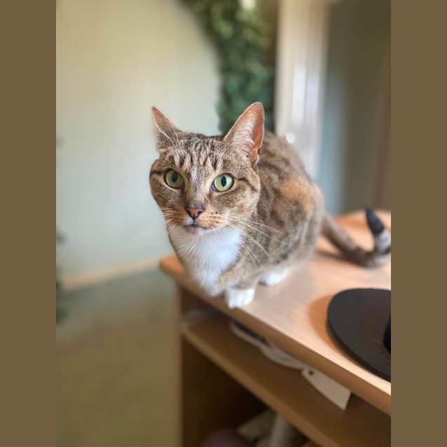 Photo of Narlah