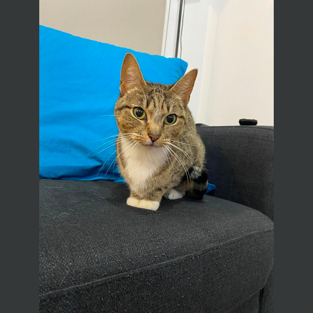 Photo of Narlah