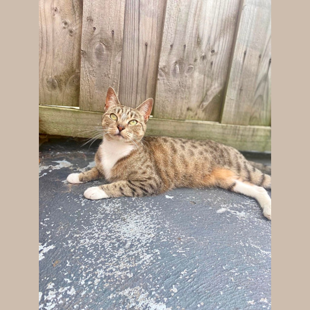 Photo of Narlah