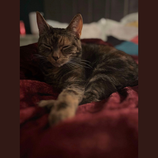Photo of Molly 