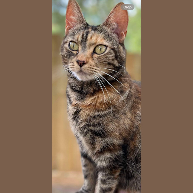Photo of Molly 