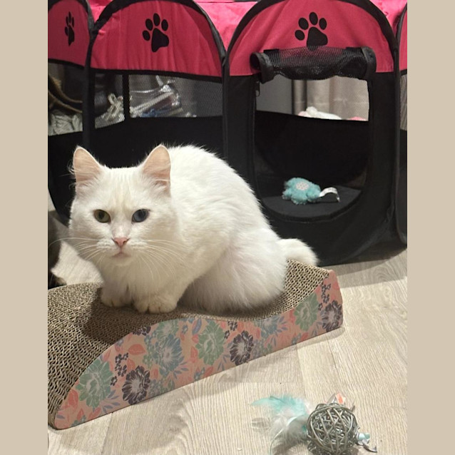 Photo of Fleur