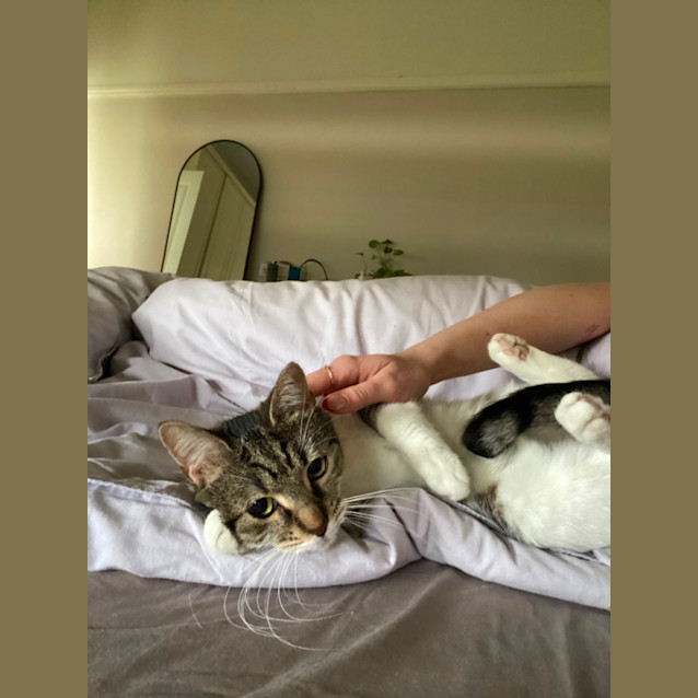 Photo of Cuddles