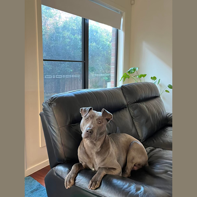 Photo of Cypress