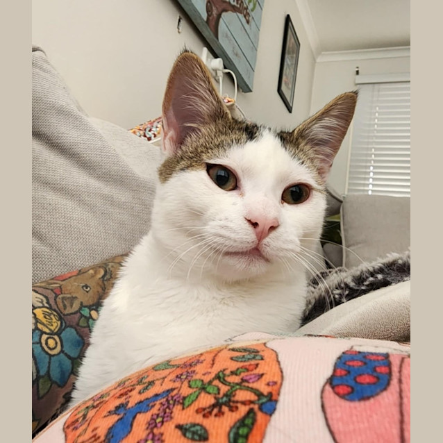 Photo of Nani