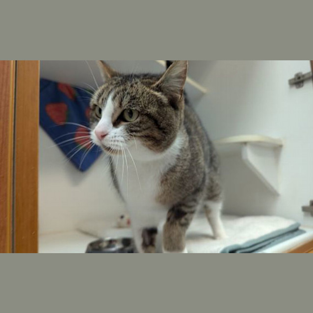 Photo of Tabitha