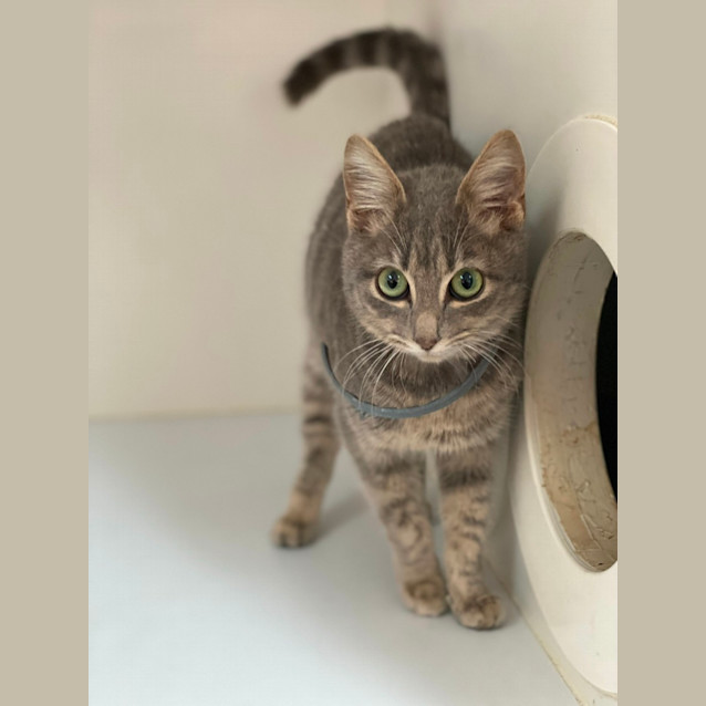 Photo of Avery (6158)